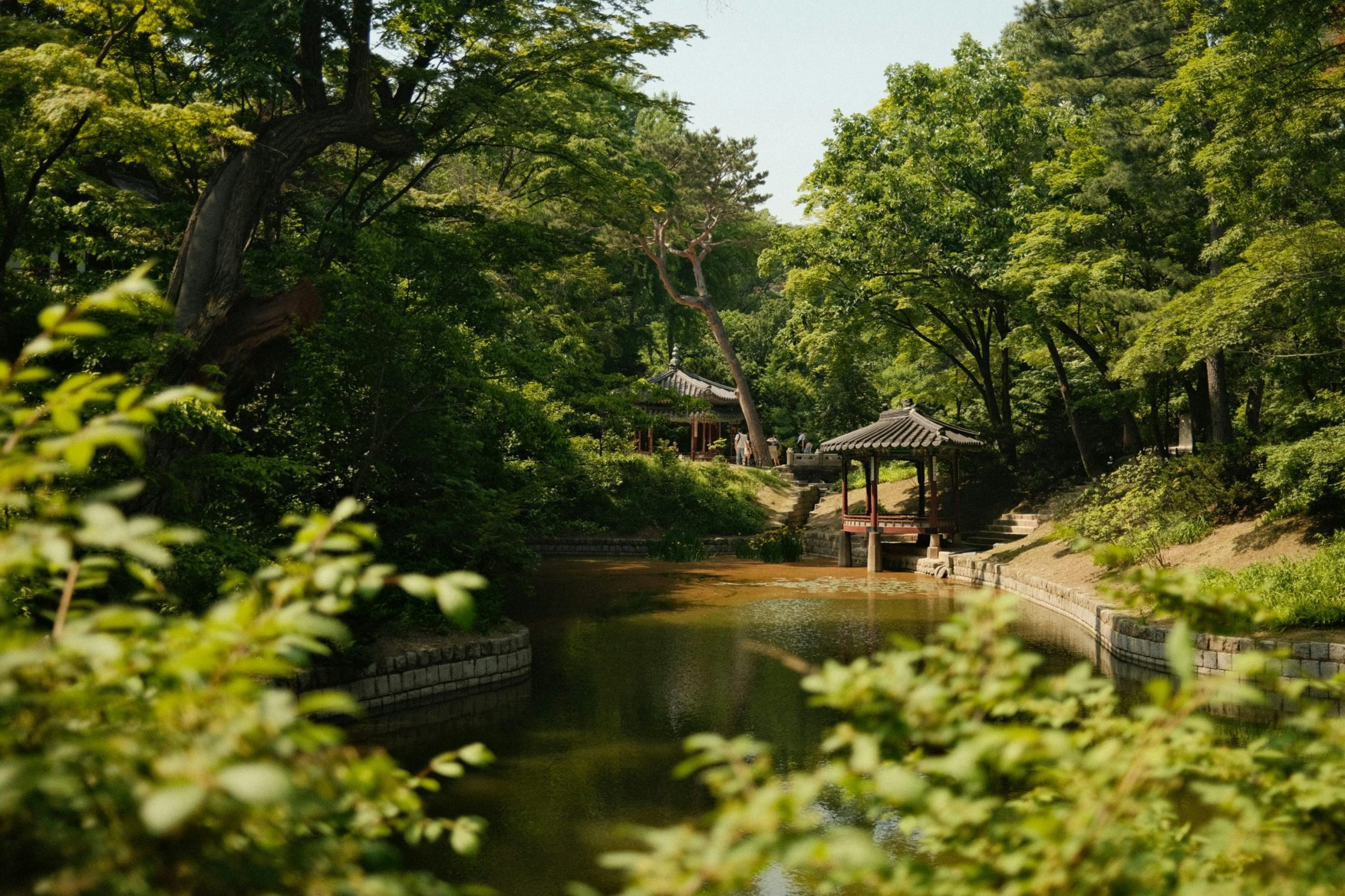 This tranquil garden scene features lush greenery and a calm pond at Changdeokgung Palace.